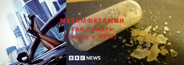 прущие грибы Гусев