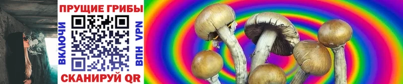kraken ссылки  Жуковка  Галлюциногенные грибы Cubensis 